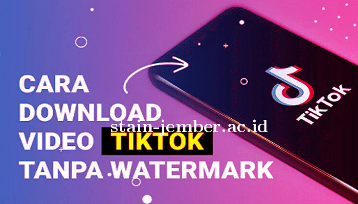 Cara Download Video Tiktok Tanpa Watermark 2024